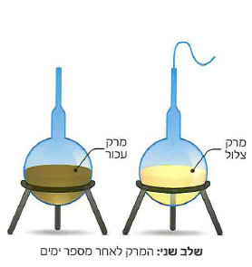 (בספר תרשים)